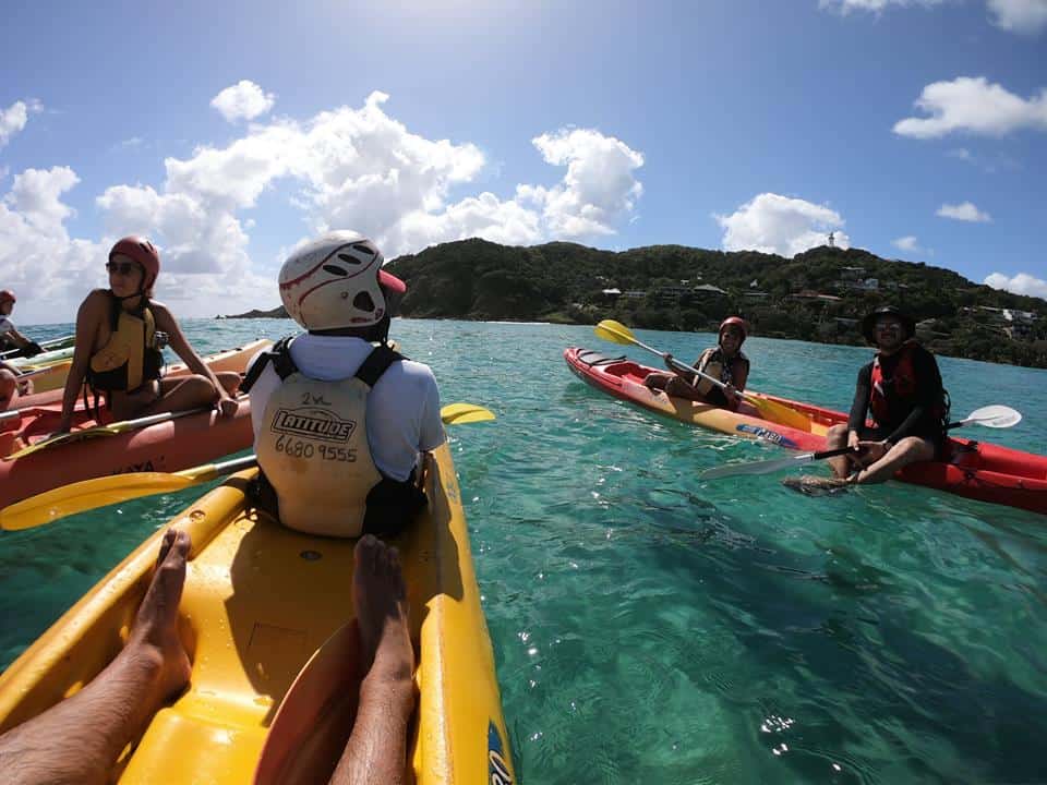 dolphin kayaking byron bay